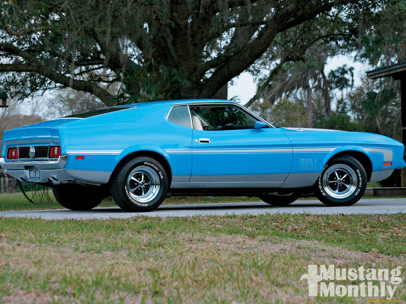 , mustang